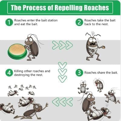 12 Pcs Natural Cockroaches Killer for Kitchens, Bathrooms, and Cabinets, cockroachs Killer Gel, Roach Repellent for Cockroaches, for Indoor Cockroach Control, Insect Control (Pack of 12)